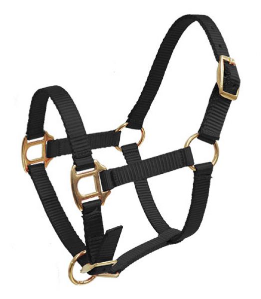 16402: Showman ® Premium nylon halter with brass hardware Nylon Halter Showman