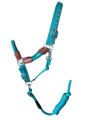 16488: Showman ® Nylon halter with leather accents Nylon Halter Showman