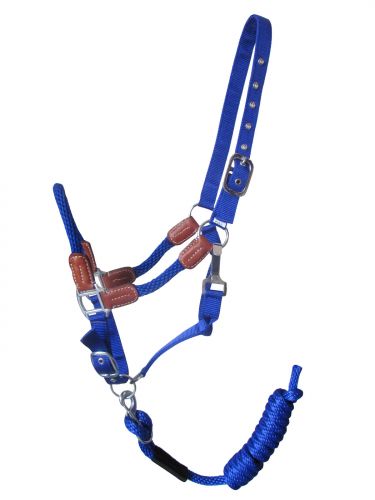 16488: Showman ® Nylon halter with leather accents Nylon Halter Showman