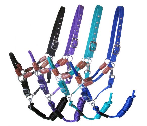 16488: Showman ® Nylon halter with leather accents Nylon Halter Showman