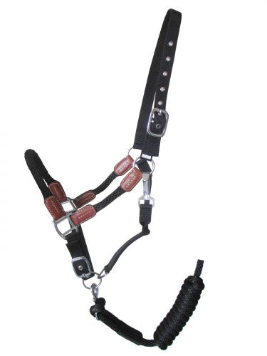 16488: Showman ® Nylon halter with leather accents Nylon Halter Showman