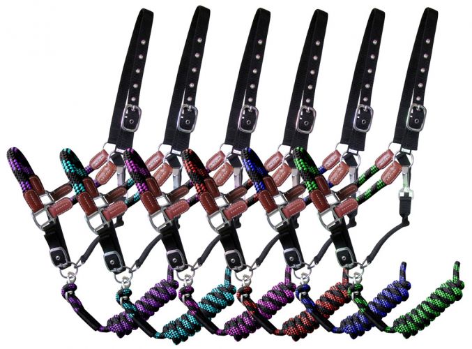 16647: Showman ® Nylon halter and matching lead rope with leather accents Nylon Halter Showman