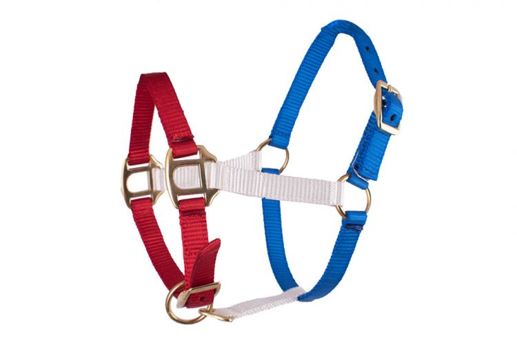 16705: Showman ® Red, White, and Blue nylon halter with brass hardware Nylon Halter Showman