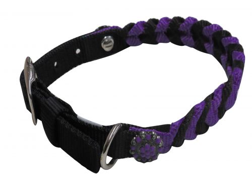 176123: Showman Couture ™ Braided nylon dog collar Primary Showman