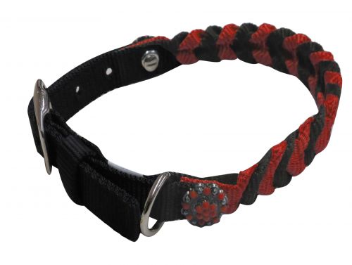 176123: Showman Couture ™ Braided nylon dog collar Primary Showman