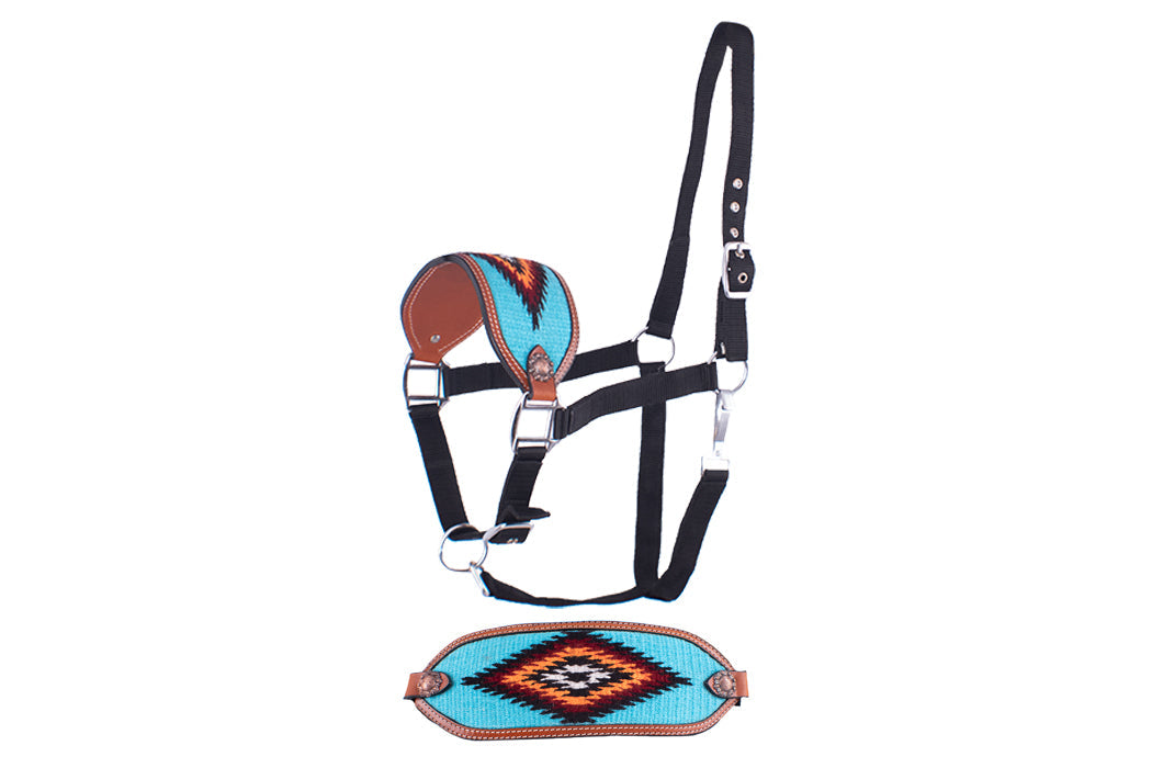 202455: Showman ® Adjustable nylon bronc halter with teal noseband Bronc Halter Showman