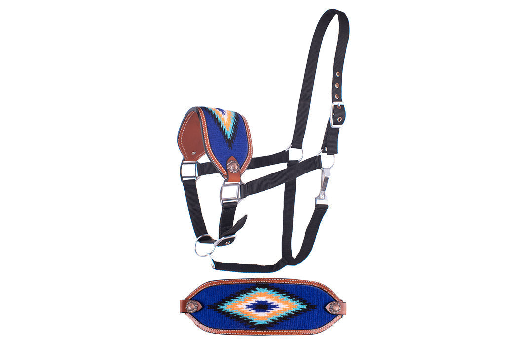 202459: Showman ® Adjustable nylon bronc halter with blue noseband Bronc Halter Showman