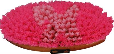 24543: Showman junior size body brush with pony logo in bristles Brush Showman