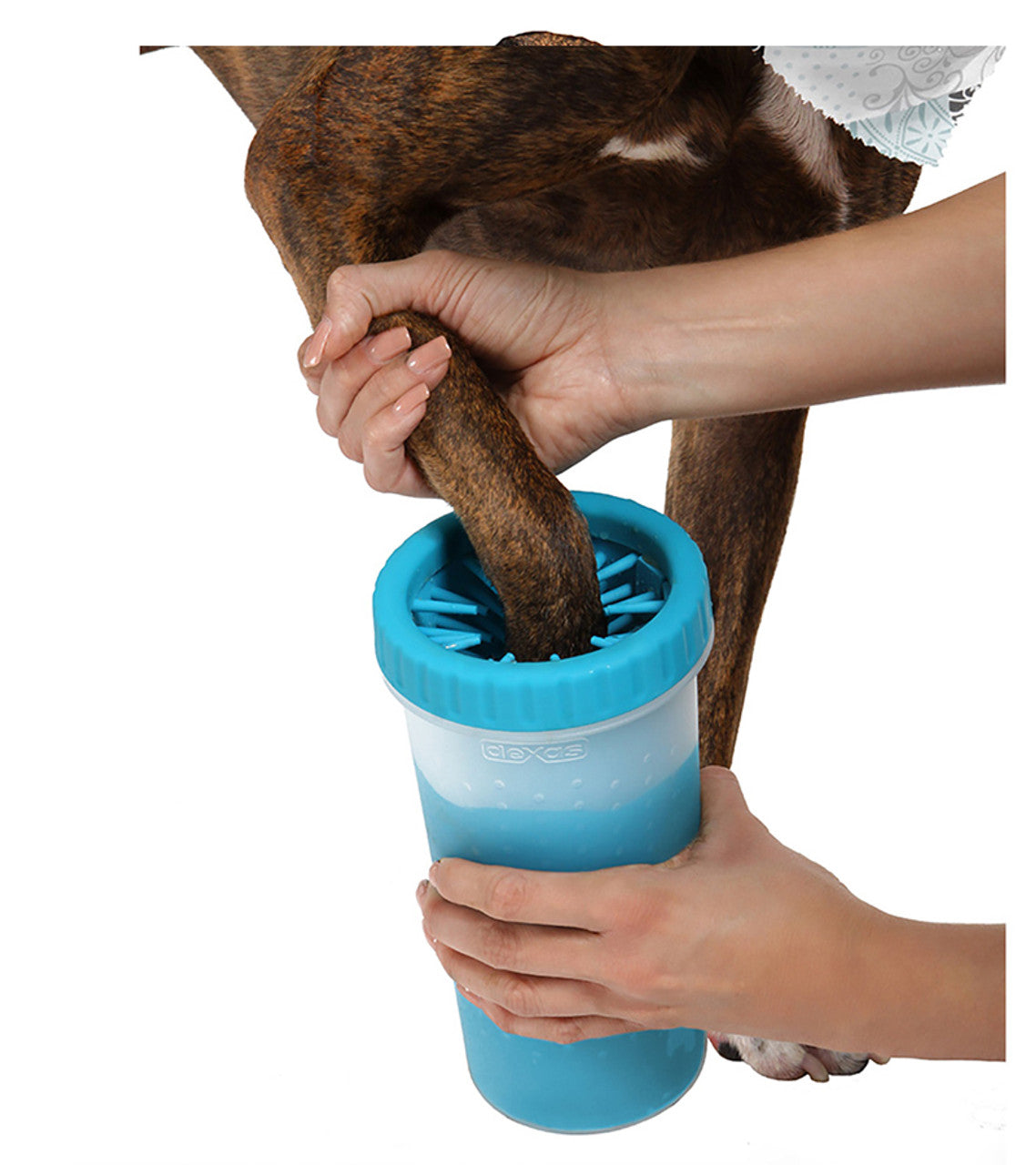 Dexas MudBuster