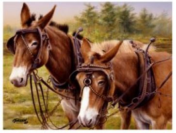 40115: Extra large 12" x 16" cutting surface Primary Showman Saddles and Tack