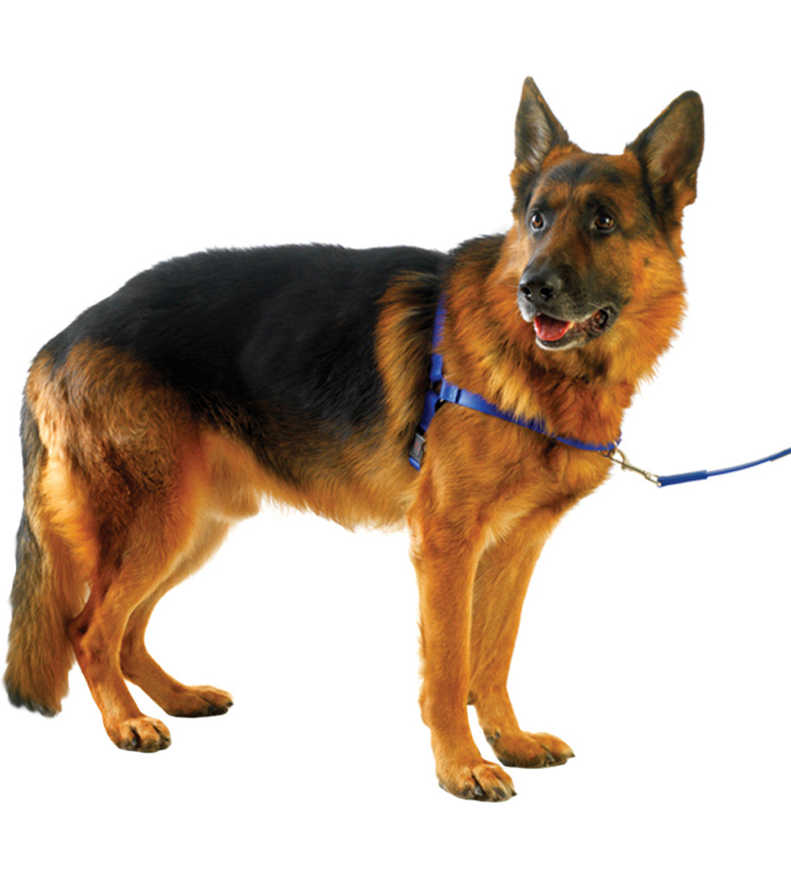 Ultrahund Freedom Harness