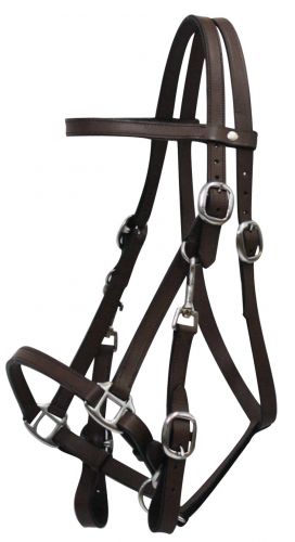 5005: Leather halter bridle combination with 7' leather split reins Halter Showman Saddles and Tack