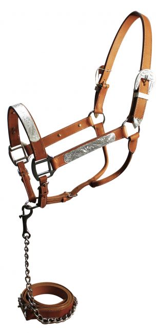 5783: Horse size show halter with matching lead Show Halter Showman Saddles and Tack