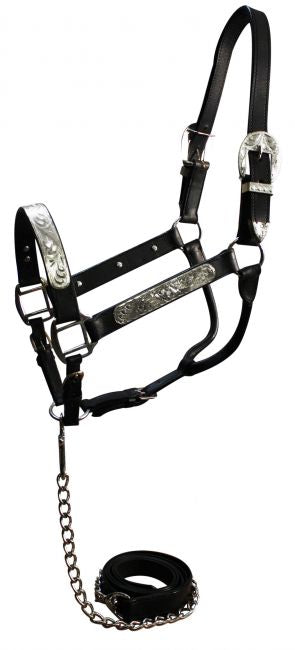 5783: Horse size show halter with matching lead Show Halter Showman Saddles and Tack