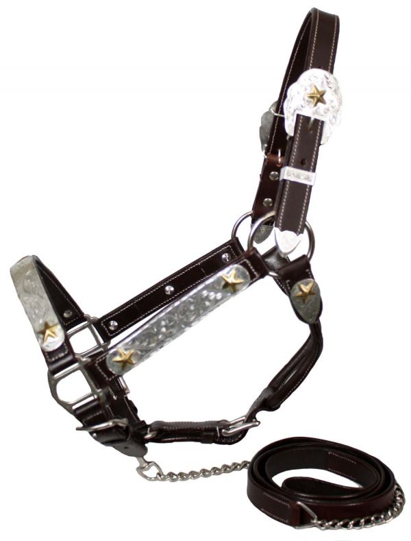 5784: Showman leather double stitched silver and gold star horse size show halter with 1" X 6' lea Show Halter Showman