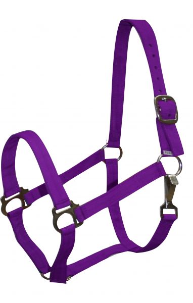 628XC: 2 Ply Cobb size turnout nylon halter with snap Nylon Halter Showman Saddles and Tack