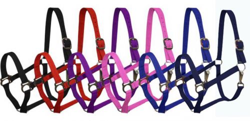 628XC: 2 Ply Cobb size turnout nylon halter with snap Nylon Halter Showman Saddles and Tack