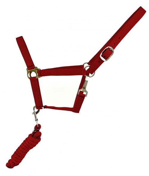 6356: Full Size adjustable nylon halter with 8 Nylon Halter Showman Saddles and Tack