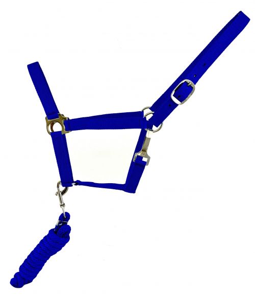 6356: Full Size adjustable nylon halter with 8 Nylon Halter Showman Saddles and Tack