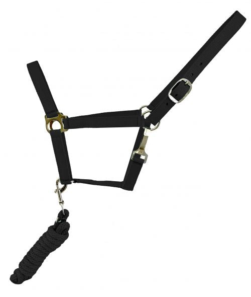 6356: Full Size adjustable nylon halter with 8 Nylon Halter Showman Saddles and Tack
