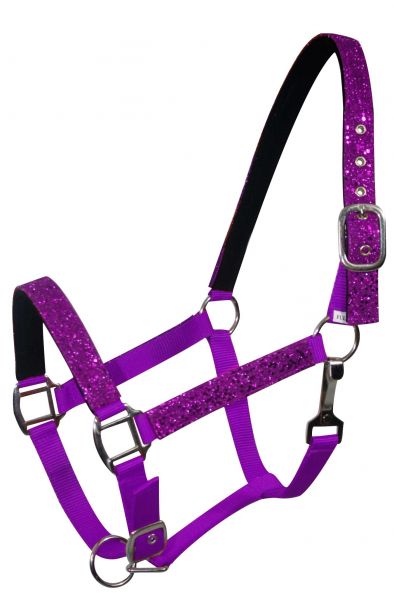 6552: Average horse size nylon halter with neoprene lined nose and crown Nylon Halter Showman Saddles and Tack