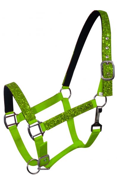 6552: Average horse size nylon halter with neoprene lined nose and crown Nylon Halter Showman Saddles and Tack