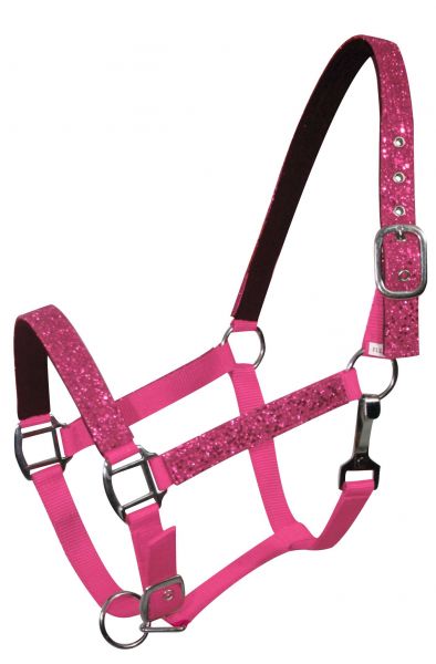 6552: Average horse size nylon halter with neoprene lined nose and crown Nylon Halter Showman Saddles and Tack