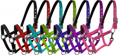 6552C: Cobb size nylon halter with neoprene lined nose and crown Nylon Halter Showman Saddles and Tack