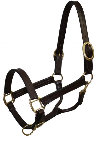 6620C: Cobb size leather halter with brass hardware Leather Halter Showman Saddles and Tack