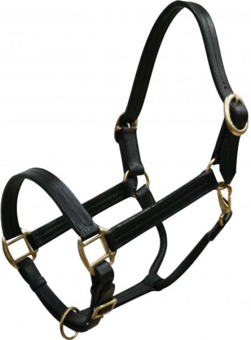 6620H: Horse size leather halter with brass hardware Leather Halter Showman Saddles and Tack Black
