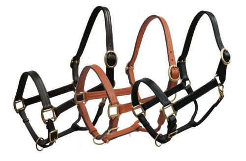 6620H: Horse size leather halter with brass hardware Leather Halter Showman Saddles and Tack