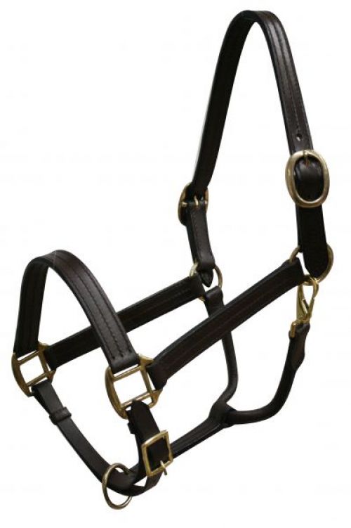 6620H: Horse size leather halter with brass hardware Leather Halter Showman Saddles and Tack Dark Brown