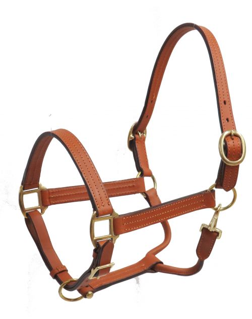 6620H: Horse size leather halter with brass hardware Leather Halter Showman Saddles and Tack Light
