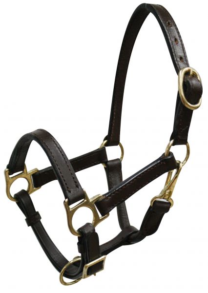 6620M: Mini size leather halter with brass hardware Leather Halter Showman Saddles and Tack