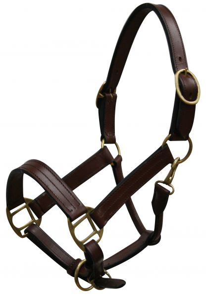 6620Y: Yearling size leather halter with brass hardware Leather Halter Showman Saddles and Tack