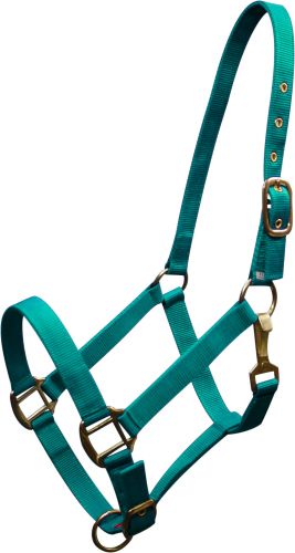 6634C: Cobb size nylon halter is constructed of triple ply nylon with brass hardware Nylon Halter Showman Saddles and Tack