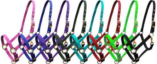 6634C: Cobb size nylon halter is constructed of triple ply nylon with brass hardware Nylon Halter Showman Saddles and Tack