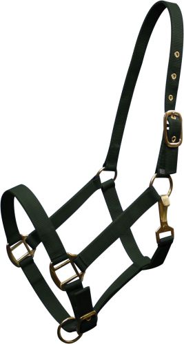 6634H: Horse size Triple ply nylon halter with brass hardware Nylon Halter Showman Saddles and Tack