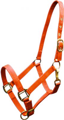 6634H: Horse size Triple ply nylon halter with brass hardware Nylon Halter Showman Saddles and Tack