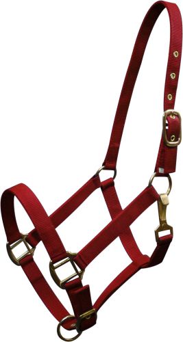 6634H: Horse size Triple ply nylon halter with brass hardware Nylon Halter Showman Saddles and Tack