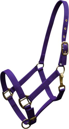 6634H: Horse size Triple ply nylon halter with brass hardware Nylon Halter Showman Saddles and Tack