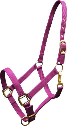 6634H: Horse size Triple ply nylon halter with brass hardware Nylon Halter Showman Saddles and Tack