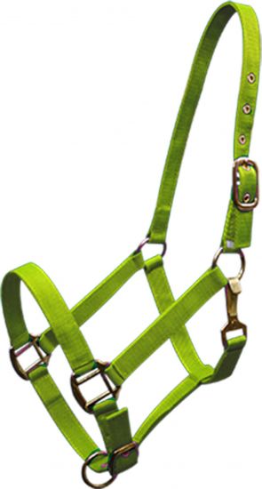 6634H: Horse size Triple ply nylon halter with brass hardware Nylon Halter Showman Saddles and Tack