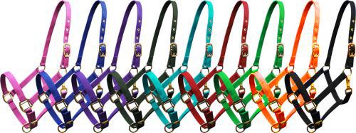 6634H: Horse size Triple ply nylon halter with brass hardware Nylon Halter Showman Saddles and Tack