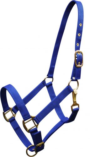6634H: Horse size Triple ply nylon halter with brass hardware Nylon Halter Showman Saddles and Tack