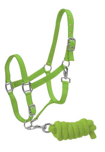 6635: Full Size adjustable nylon halter with 7ft lead Nylon Halter Showman Saddles and Tack
