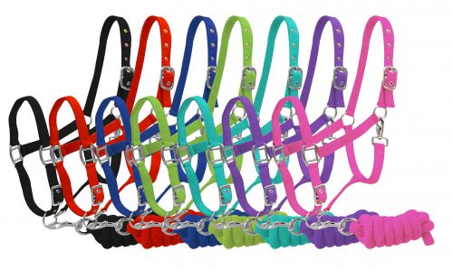 6635: Full Size adjustable nylon halter with 7ft lead Nylon Halter Showman Saddles and Tack