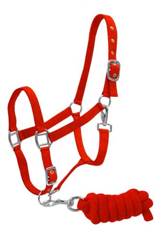 6635: Full Size adjustable nylon halter with 7ft lead Nylon Halter Showman Saddles and Tack