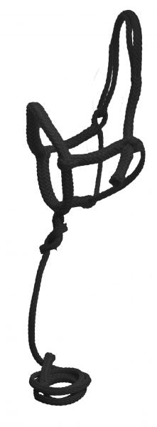 6800: Showman ® Nylon rope shipping halter with 8' lead Nylon Halter Showman