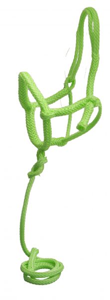 6800: Showman ® Nylon rope shipping halter with 8' lead Nylon Halter Showman